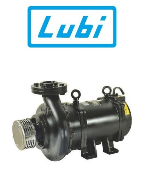 Bơm đài phun nước Lubi LHL164 1.5Kw