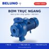 Máy bơm trục ngang Beluno CX65-160/15 15Kw