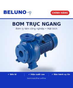 Máy bơm trục ngang Beluno CX65-160/15 15Kw